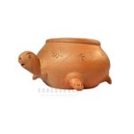 Tortoise Planter