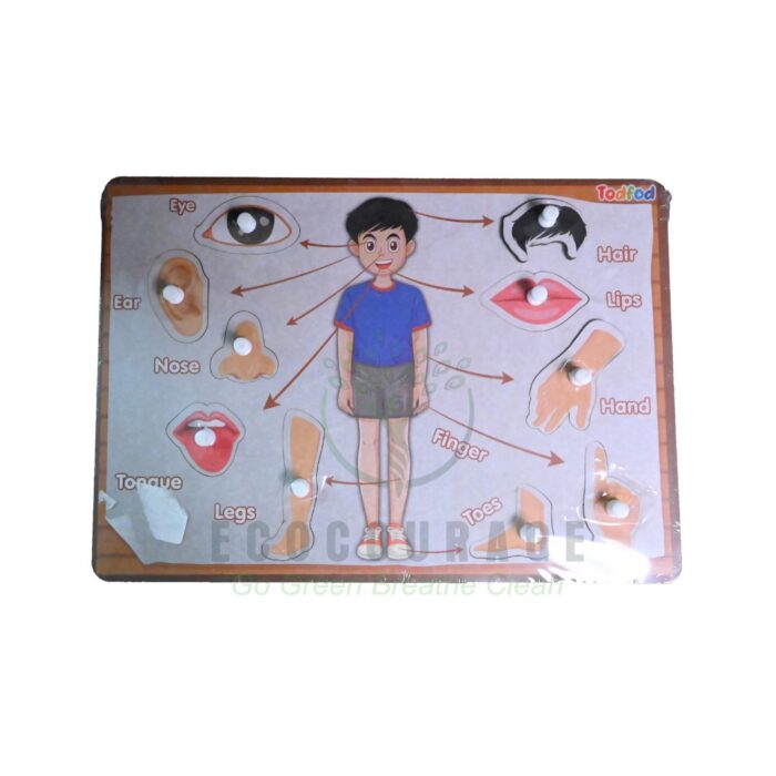 Pre Nursery Puzzles (Bodyparts, Transport, Veg, Fruits) - Image 1